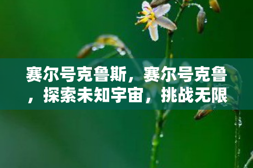 赛尔号克鲁斯，赛尔号克鲁，探索未知宇宙，挑战无限可能