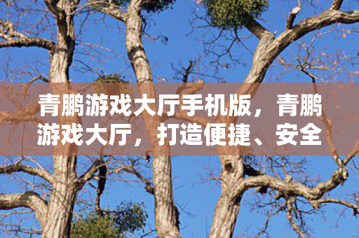 青鹏游戏大厅手机版，青鹏游戏大厅，打造便捷、安全的游戏体验