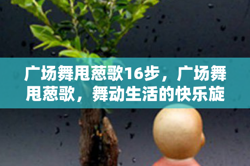 广场舞甩葱歌16步，广场舞甩葱歌，舞动生活的快乐旋律