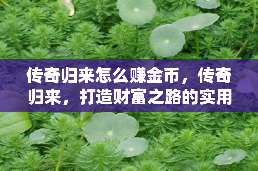 传奇归来怎么赚金币，传奇归来，打造财富之路的实用攻略