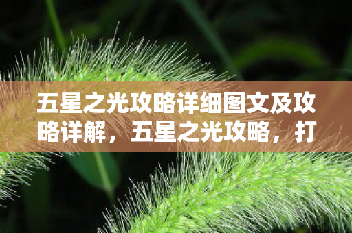 五星之光攻略详细图文及攻略详解，五星之光攻略，打造你的游戏巅峰