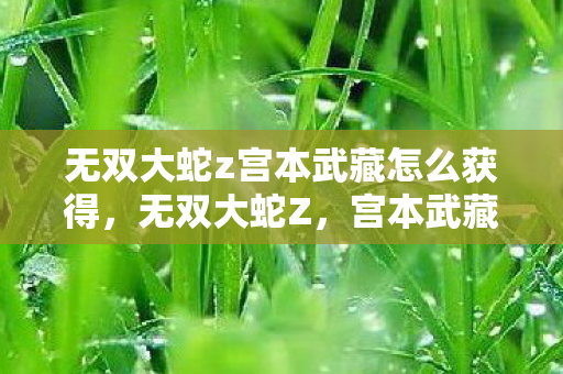 无双大蛇z宫本武藏怎么获得，无双大蛇Z，宫本武藏的传奇之路