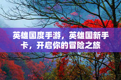 英雄国度手游，英雄国新手卡，开启你的冒险之旅