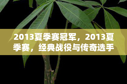 2013夏季赛冠军，2013夏季赛，经典战役与传奇选手的回顾