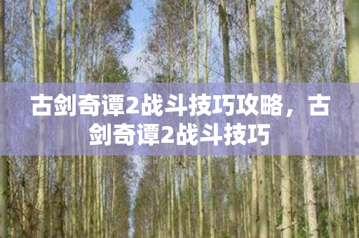 古剑奇谭2战斗技巧攻略，古剑奇谭2战斗技巧
