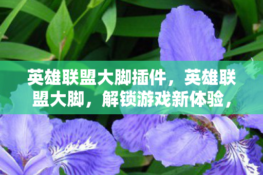 英雄联盟大脚插件，英雄联盟大脚，解锁游戏新体验，但需谨慎使用