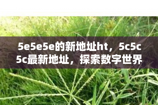 5e5e5e的新地址ht，5c5c5c最新地址，探索数字世界的无限可能