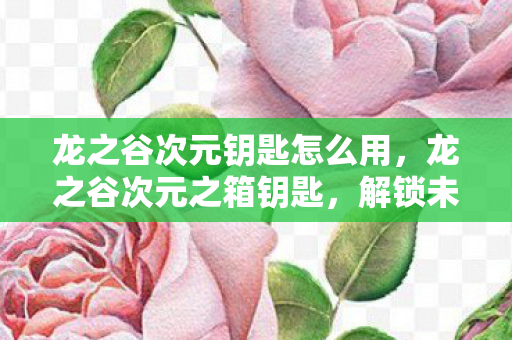 龙之谷次元钥匙怎么用，龙之谷次元之箱钥匙，解锁未知世界的神秘钥匙