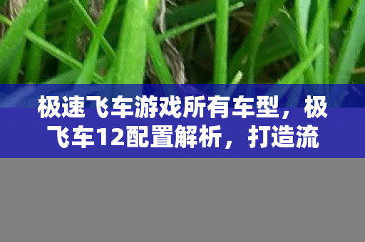 极速飞车游戏所有车型，极飞车12配置解析，打造流畅游戏体验的硬件需求