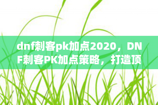 dnf刺客pk加点2020，DNF刺客PK加点策略，打造顶尖PK角色的关键