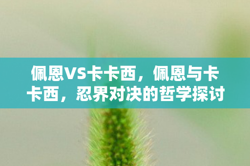 佩恩VS卡卡西，佩恩与卡卡西，忍界对决的哲学探讨