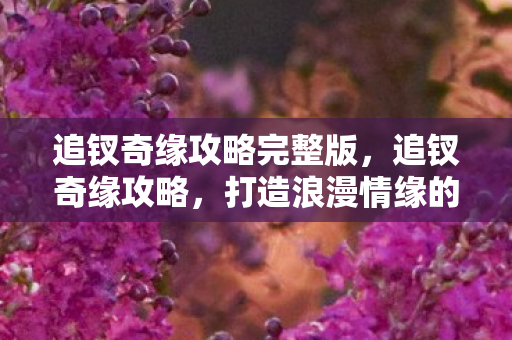追钗奇缘攻略完整版，追钗奇缘攻略，打造浪漫情缘的秘籍