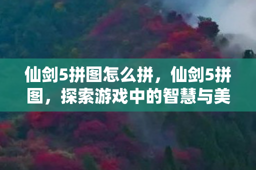 仙剑5拼图怎么拼，仙剑5拼图，探索游戏中的智慧与美学