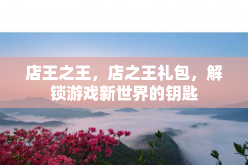 店王之王，店之王礼包，解锁游戏新世界的钥匙