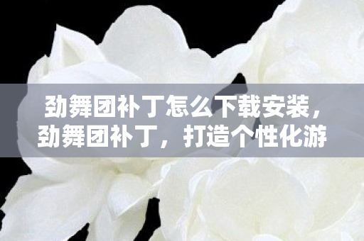 劲舞团补丁怎么下载安装，劲舞团补丁，打造个性化游戏世界的艺术