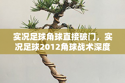 实况足球角球直接破门，实况足球2012角球战术深度解析