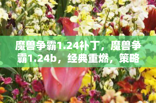 魔兽争霸1.24补丁，魔兽争霸1.24b，经典重燃，策略与激情的碰撞