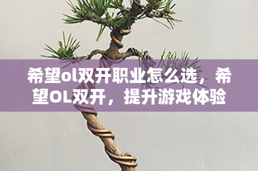 希望ol双开职业怎么选，希望OL双开，提升游戏体验的实用技巧与注意事项