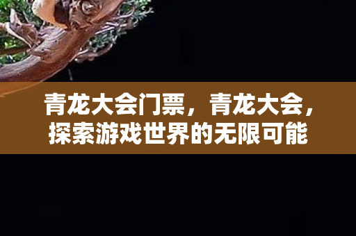 青龙大会门票，青龙大会，探索游戏世界的无限可能