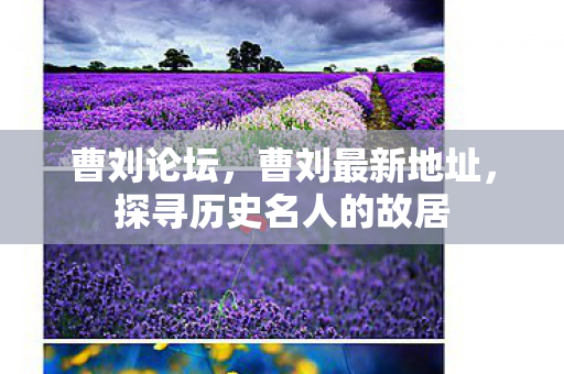 曹刘论坛，曹刘最新地址，探寻历史名人的故居