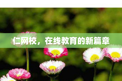 仁网校，在线教育的新篇章