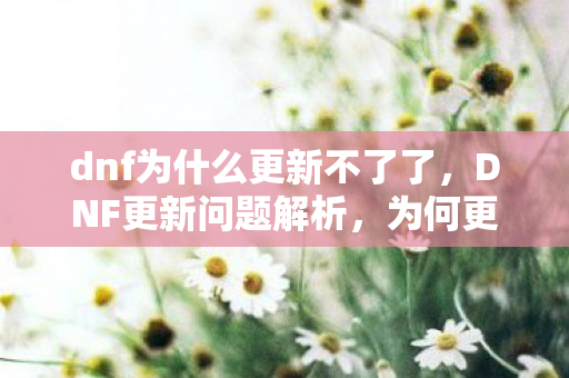 dnf为什么更新不了了，DNF更新问题解析，为何更新进程受阻