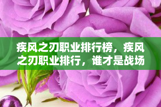 疾风之刃职业排行榜，疾风之刃职业排行，谁才是战场上的霸主？