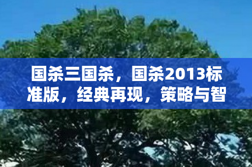 国杀三国杀，国杀2013标准版，经典再现，策略与智慧的碰撞