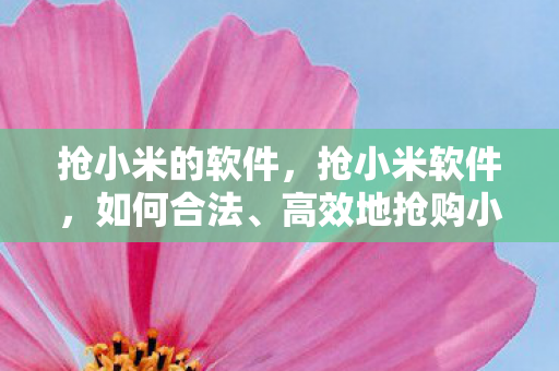 抢小米的软件，抢小米软件，如何合法、高效地抢购小米产品