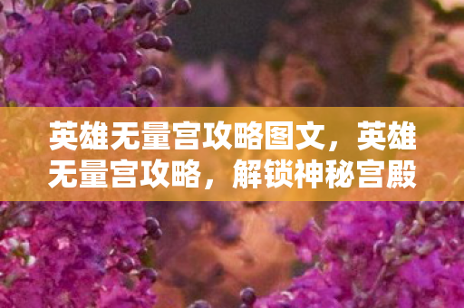 英雄无量宫攻略图文，英雄无量宫攻略，解锁神秘宫殿的终极指南