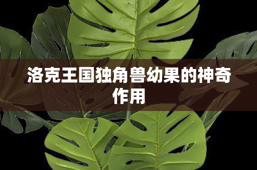 洛克王国独角兽幼果的神奇作用