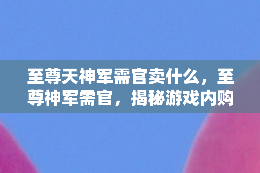 至尊天神军需官卖什么，至尊神军需官，揭秘游戏内购的幕后英雄