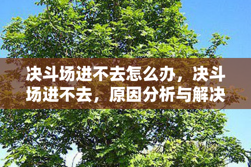 决斗场进不去怎么办，决斗场进不去，原因分析与解决方案