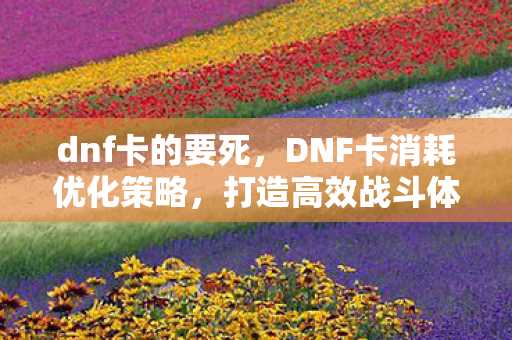 dnf卡的要死，DNF卡消耗优化策略，打造高效战斗体验