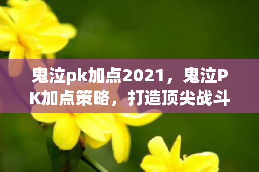 鬼泣pk加点2021，鬼泣PK加点策略，打造顶尖战斗力的关键