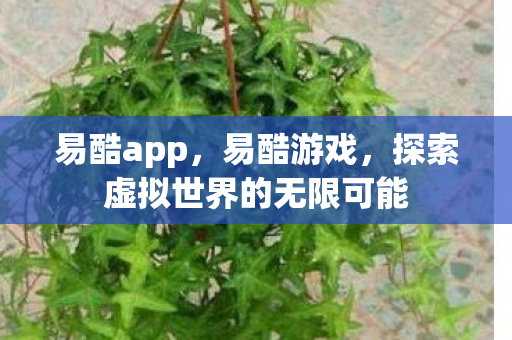易酷app，易酷游戏，探索虚拟世界的无限可能