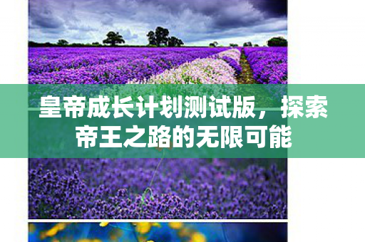 皇帝成长计划测试版，探索帝王之路的无限可能