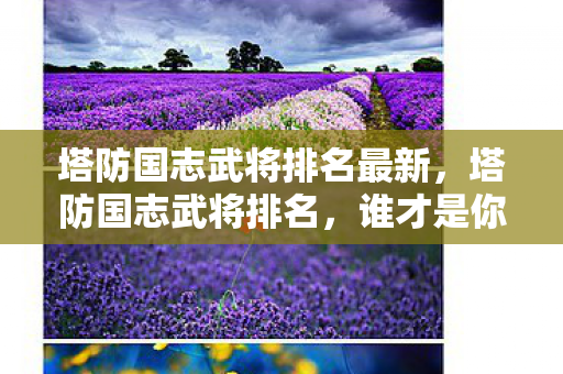 塔防国志武将排名最新，塔防国志武将排名，谁才是你的最强守护者？