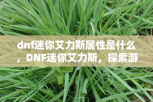 dnf迷你艾力斯属性是什么，DNF迷你艾力斯，探索游戏世界的奇妙之旅