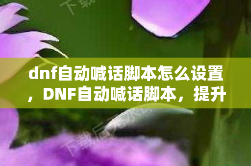 dnf自动喊话脚本怎么设置，DNF自动喊话脚本，提升游戏效率与社交互动的利器