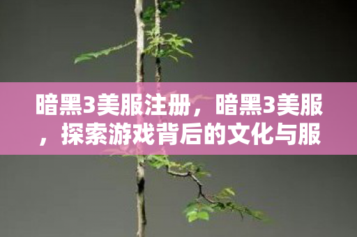 暗黑3美服注册，暗黑3美服，探索游戏背后的文化与服务