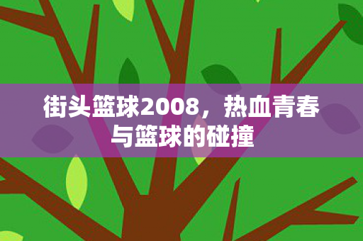街头篮球2008，热血青春与篮球的碰撞