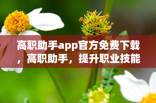 高职助手app官方免费下载，高职助手，提升职业技能的得力助手