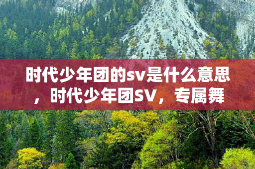 时代少年团的sv是什么意思，时代少年团SV，专属舞台与创意内容的深度探索