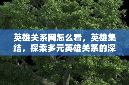 英雄关系网怎么看，英雄集结，探索多元英雄关系的深度魅力