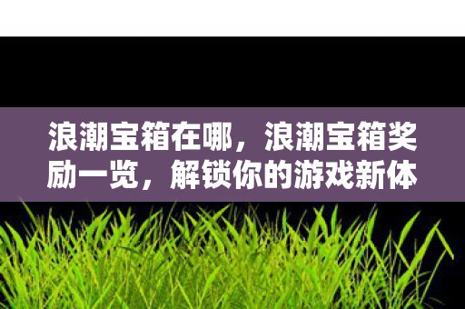 浪潮宝箱在哪，浪潮宝箱奖励一览，解锁你的游戏新体验