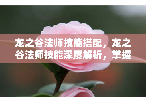 龙之谷法师技能搭配，龙之谷法师技能深度解析，掌握元素之力的奥秘