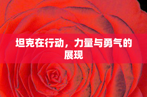 坦克在行动,力量与勇气的展现 坦克在行动,力量与勇气的展现