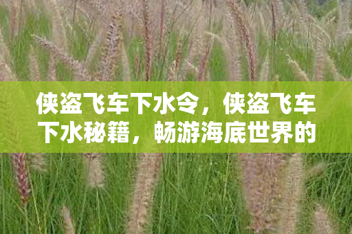 侠盗飞车下水令，侠盗飞车下水秘籍，畅游海底世界的神秘技巧