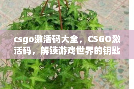 csgo激活码大全，CSGO激活码，解锁游戏世界的钥匙